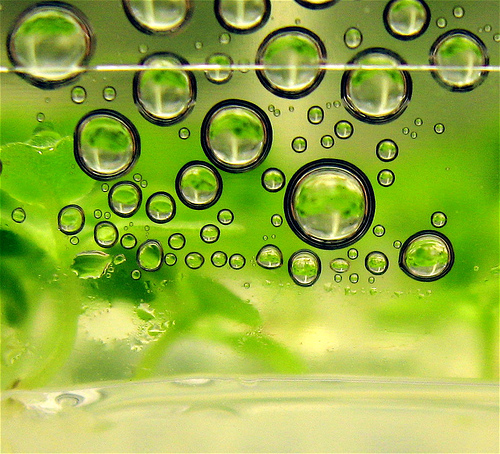 biofuel_bubbles_28665a